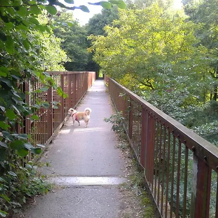 Haus Plum * Düren - Eifel