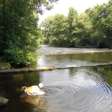 Haus Plum * Düren - Eifel