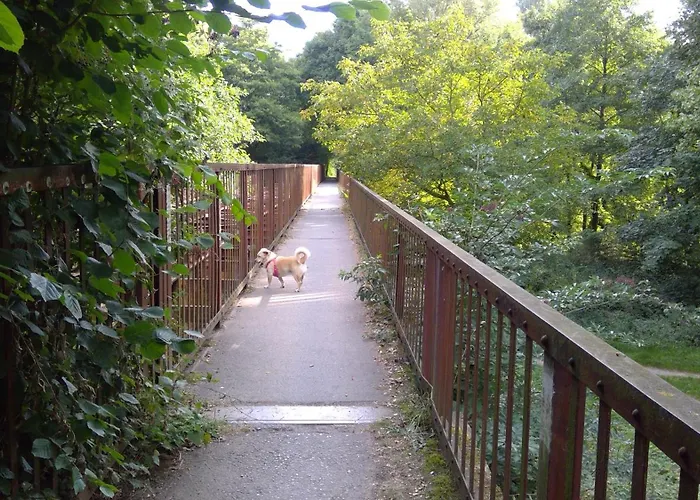 Haus Plum * Düren - Eifel