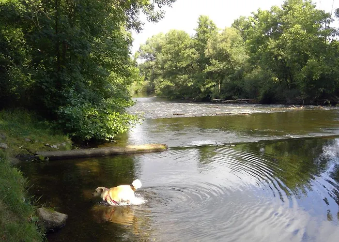 Haus Plum * Düren - Eifel